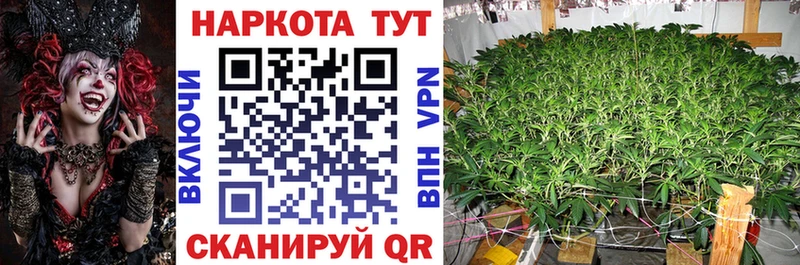 Купить наркотики цена Сорск omg онион  АМФ  ГАШ  Марихуана 