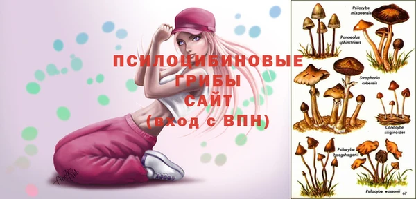 наркотики Абинск