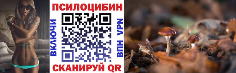 Галлюциногенные грибы ЛСД Сорск
