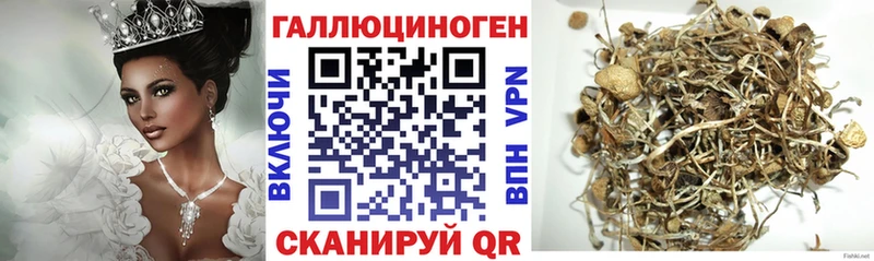 Галлюциногенные грибы MAGIC MUSHROOMS  Сорск 